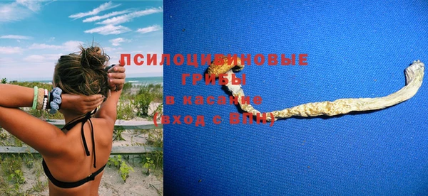 стаф Костерёво