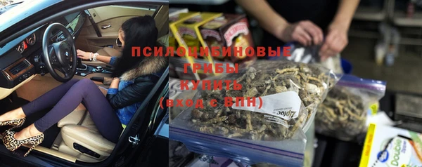 прущие крисы Коряжма