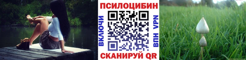 shop официальный сайт наркошоп Райчихинск Псилоцибиновые грибы мухоморы
